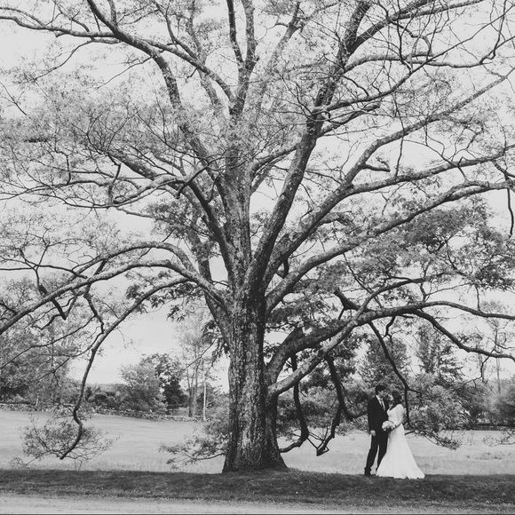 Meet your Posher, Melissa - Picture 4 of 6